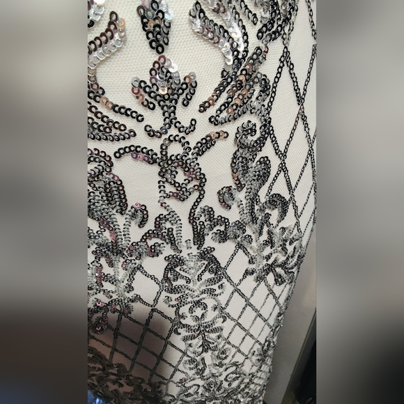 Privy Silver and White Midi Dress - Picture 10 of 16